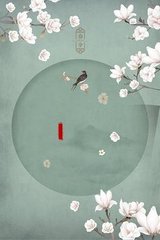 8050午夜二级一片超能网